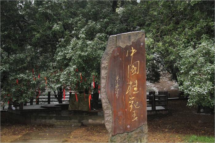图片12.jpg